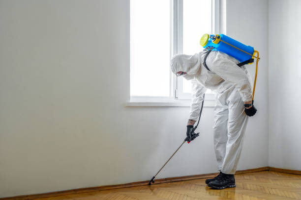 Best Commercial Pest Control  in Sparks, TX